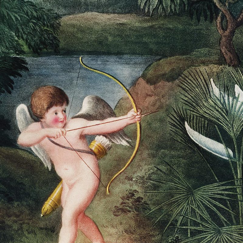 Eros in Paradise